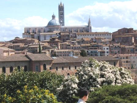 Siena: veduta panoramica